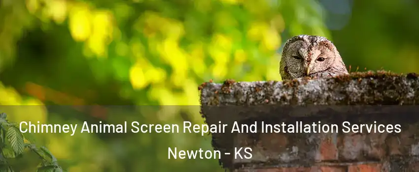 Chimney Animal Screen Repair And Installation Services Newton - KS