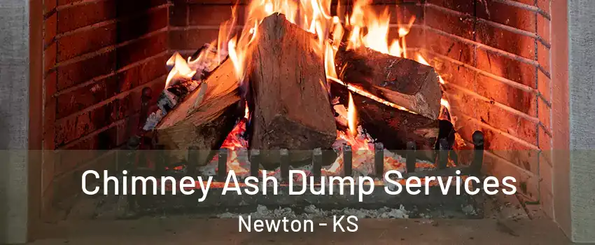  Chimney Ash Dump Services Newton - KS