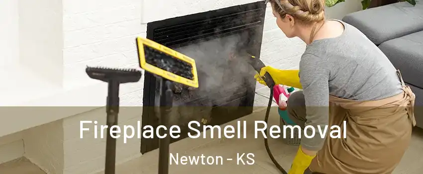  Fireplace Smell Removal Newton - KS