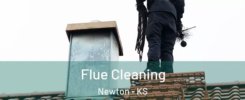  Flue Cleaning Newton - KS