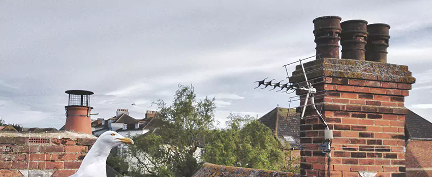 Chimney Cleaning And Restoration in Newton, Kansas