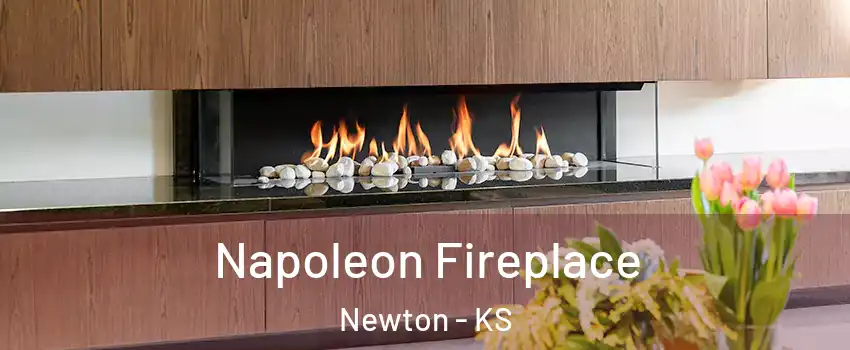  Napoleon Fireplace Newton - KS