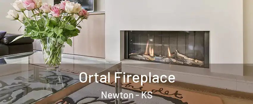  Ortal Fireplace Newton - KS
